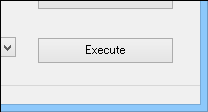 [Execute] button